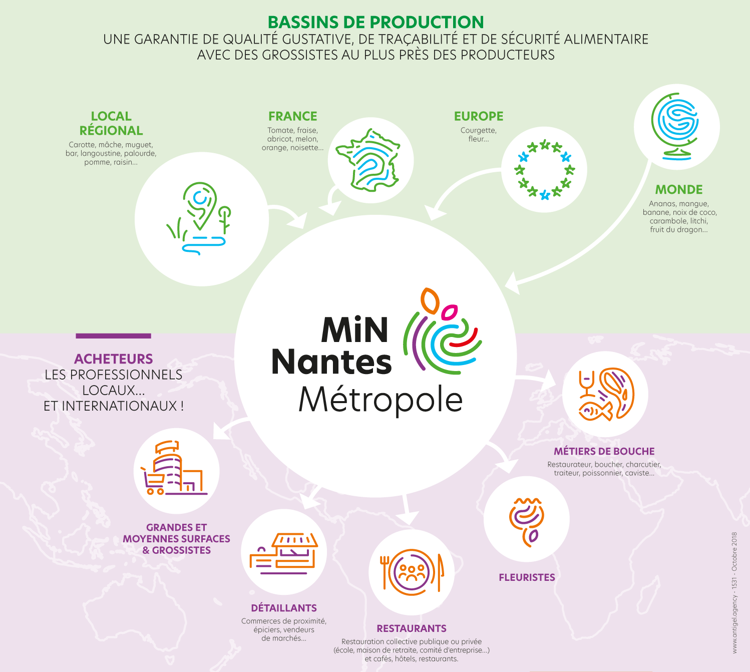 infographie