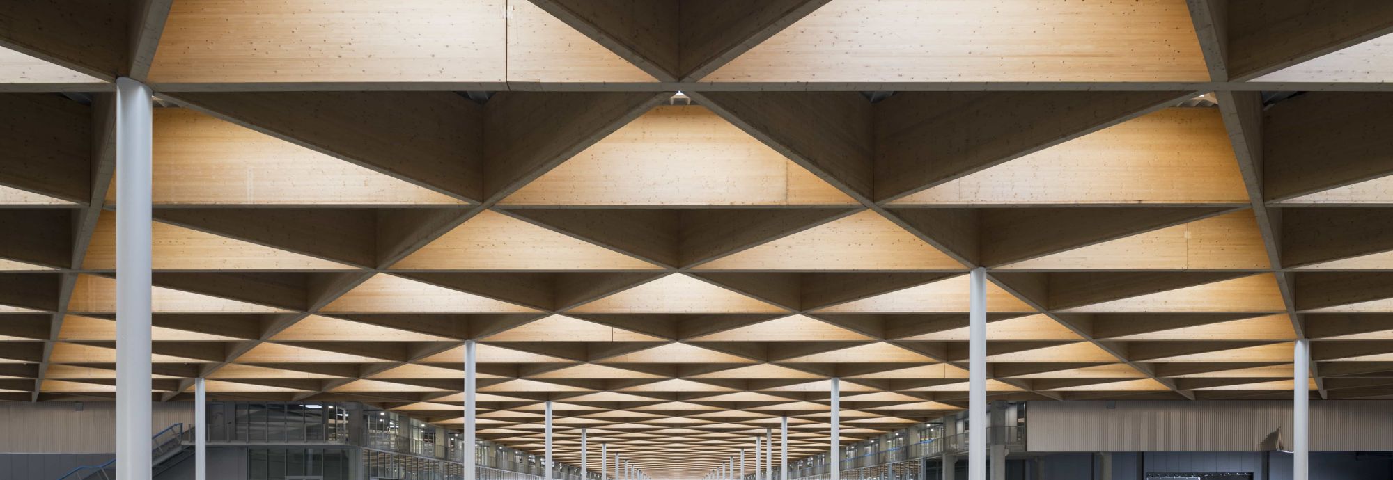 Lumière naturelle dans la halle principale du MiN de Nantes