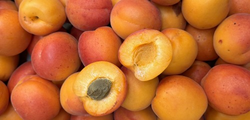 abricots min de nantes