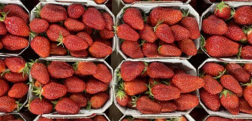 Fraise