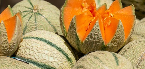 Melon
