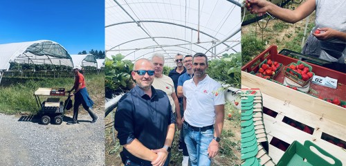 Immersion chez Burban producteur