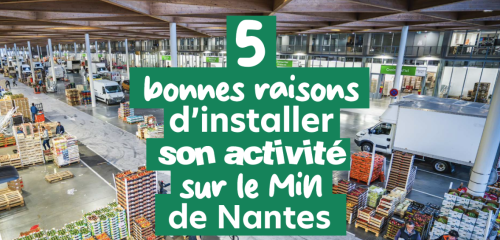 5 bonnes raisons