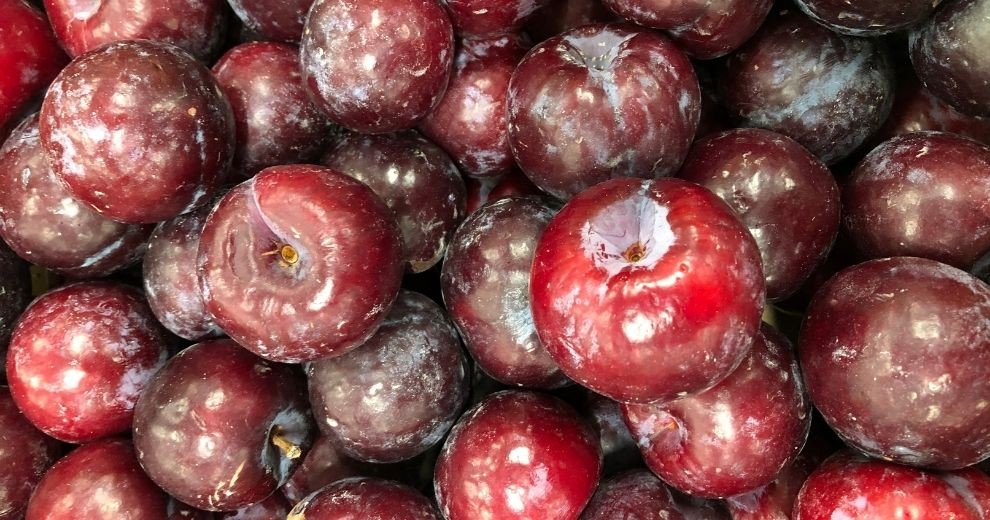 La prune - Fruit au MiN de Nantes