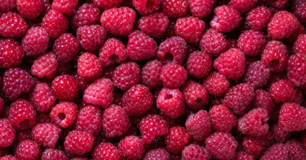 Les framboises du MiN de Nantes