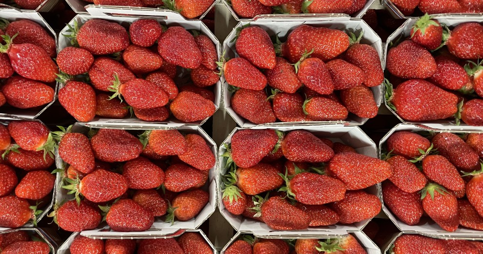 Fraise