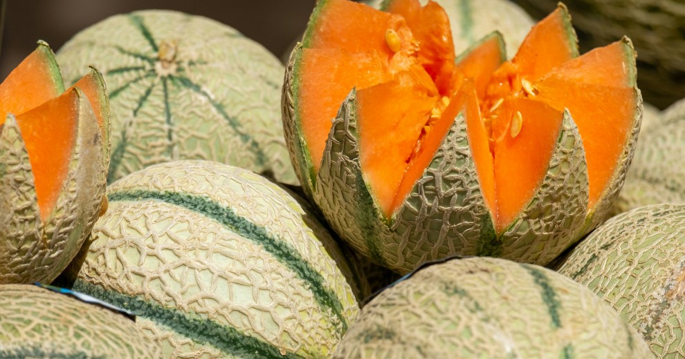 Melon