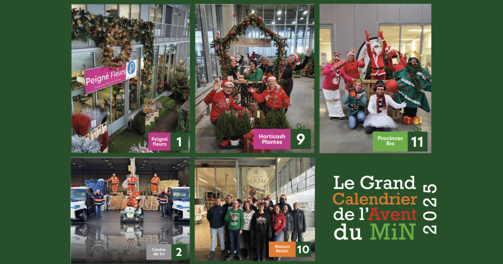 Grand Calendrier de l'Avent du MiN