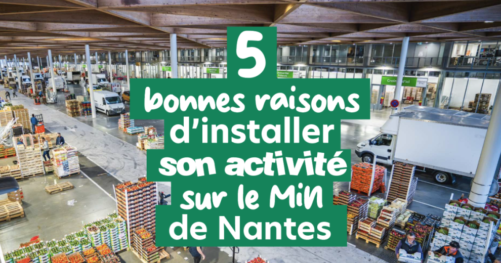 5 bonnes raisons