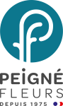 logo peigné fleurs