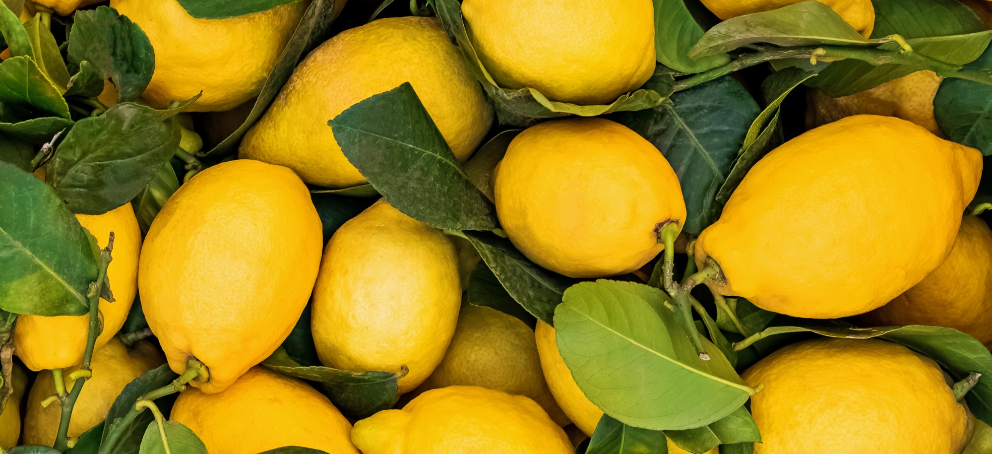 Le Citron