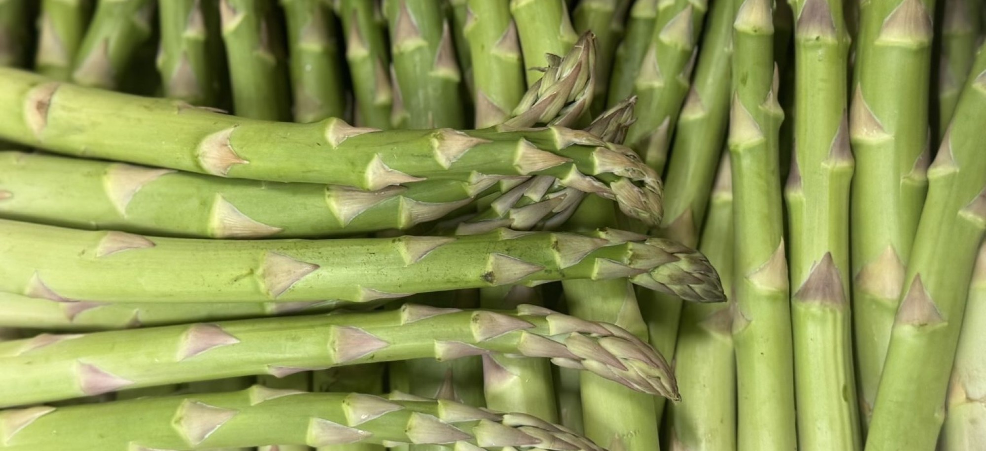 asperge