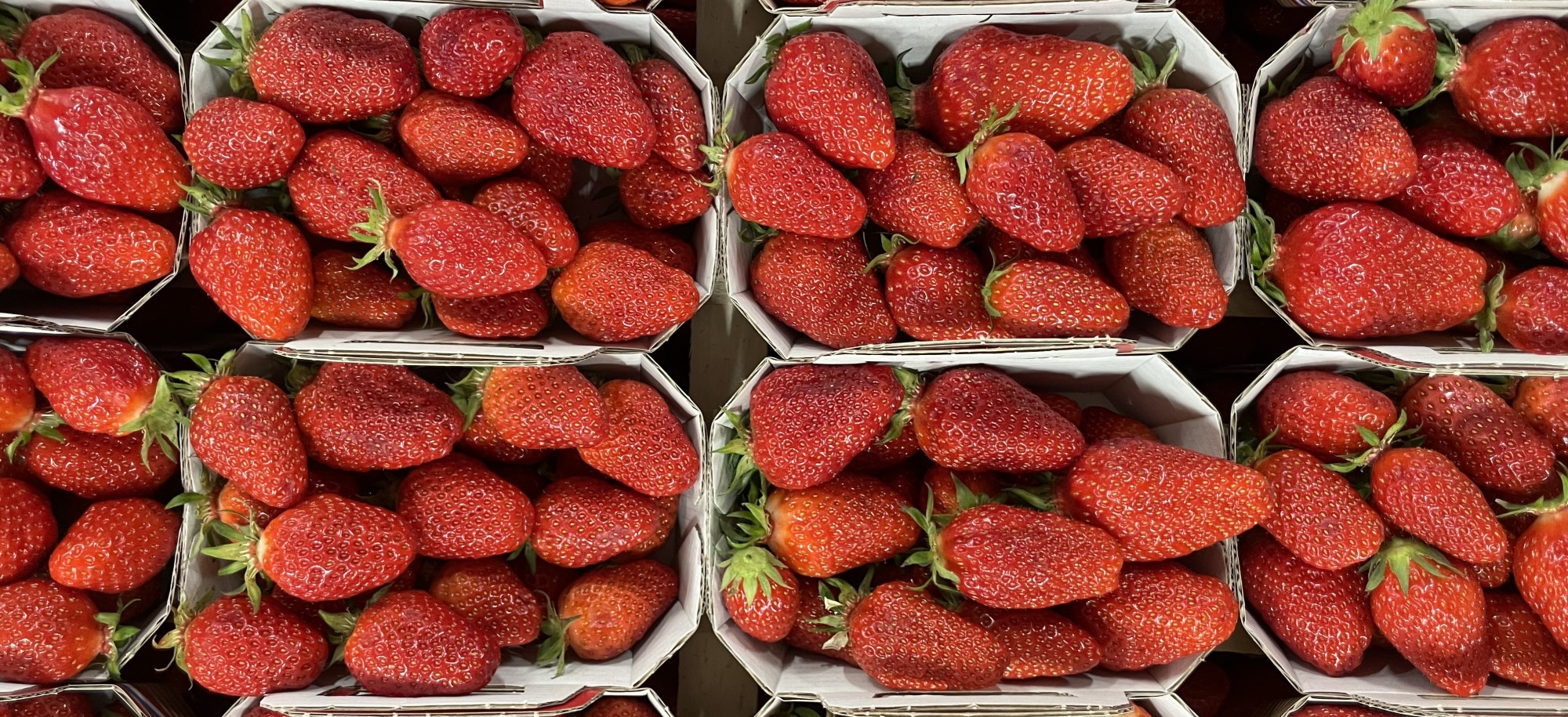 la fraise
