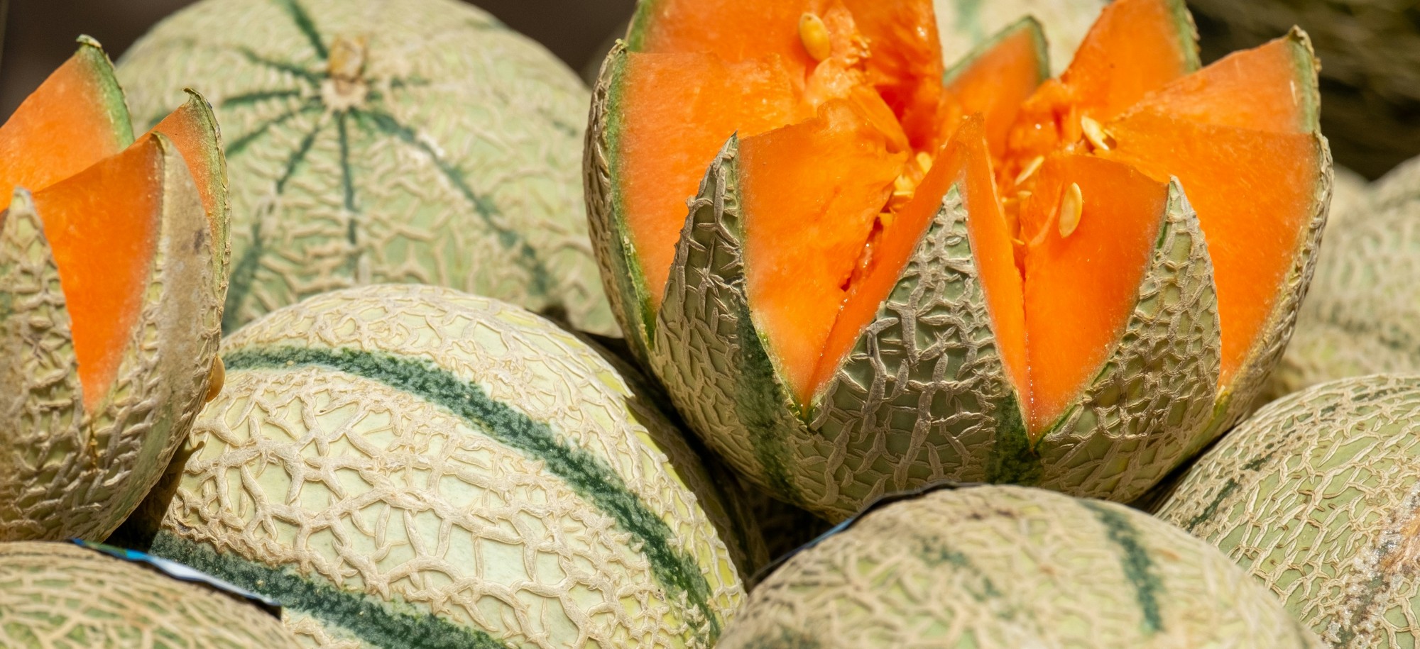 melon
